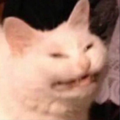 THE CAT Roblox decal