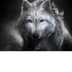 ||Fallen’Wolves||