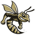 Sprayberry Yellowjackets Athletics