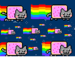 Human Nyan Cats