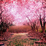 Sakura Hall 花館