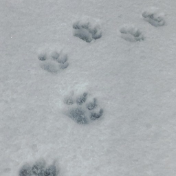 ❄