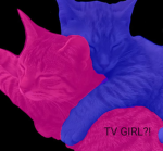Tv Girl Fan-Club