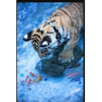 Ocean and tiger clothing