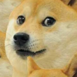 Doge and sloth fan club