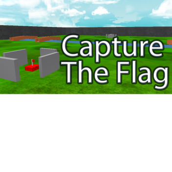Flag Capture