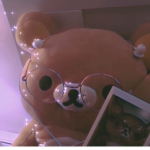 Teddy bear fle