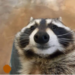 AGroupIg