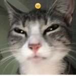 Antii Social Gang