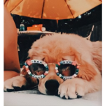 ғʟᴀᴡʟᴇss