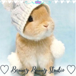 Bouncy Bunny Studio