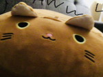NUGGET CAT GROUP