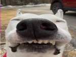 Roblox_user138ly's