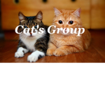 Twin Cats group