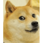 dis doge flyin in obby creator