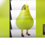 GrDzGn Ailesi