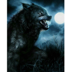 the black werewolves
