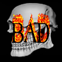 bad to the bone