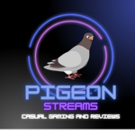 Gaming With a Passion