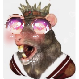 THE RAT LAIR