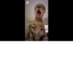 sharki boi