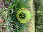 Softball Queens