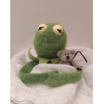 Kermit squad :)