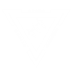 [~] Mobile Specialized Teams