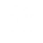 STREFA RDM