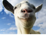 Goat Bloodline