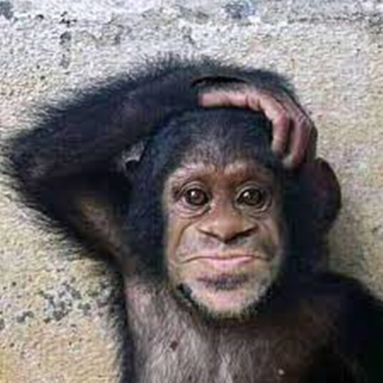 who ever your name is or your name can be run obby