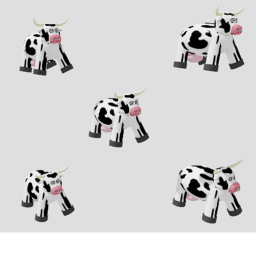 Cow Dancing