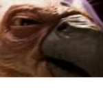 ooga booga corps