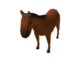 horse gang !!