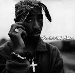 Steppin Ent