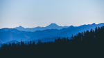 Test250
