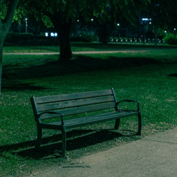The park (LEGACY)