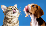PETSSSSSSSSS