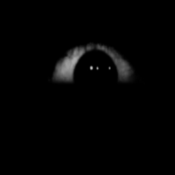 The City (Horror)