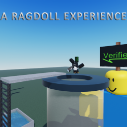 A Ragdoll Experience
