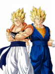 The saiyain race