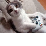 Les MinMinGaming
