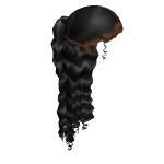 𝓖 Black Half Up Half Down Slicked Back Ponytail