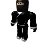 Fighter Ninja group!