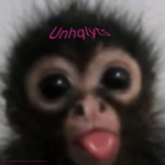 unhqlyts