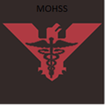 MOH Shadow Squadron