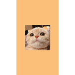 Frise
