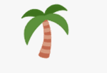 Lush code labs