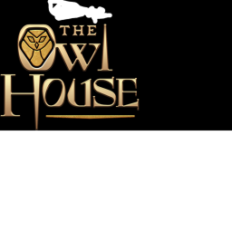 The owl house adventures (READ DESC)