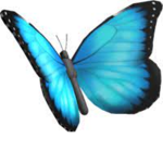 butterly fly squad